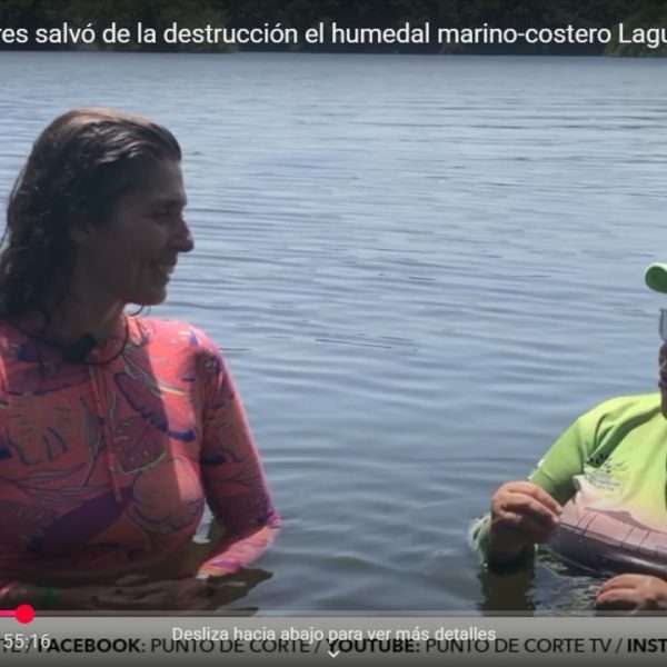 Laguna la reina