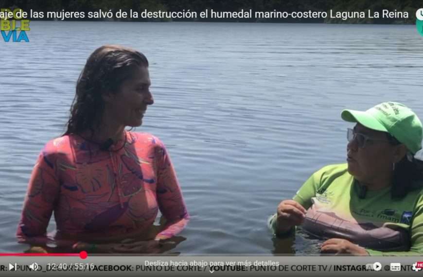 Laguna la reina