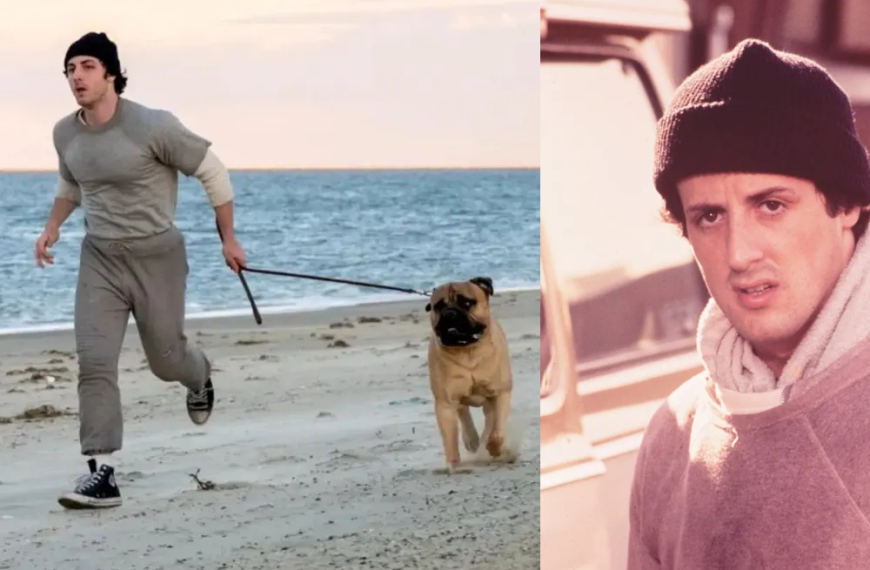 El nuevo Rocky