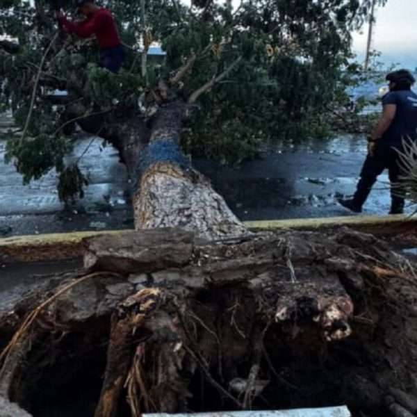 Caos en Falcón | Intensas precipitaciones causaron anegaciones y derrumbes