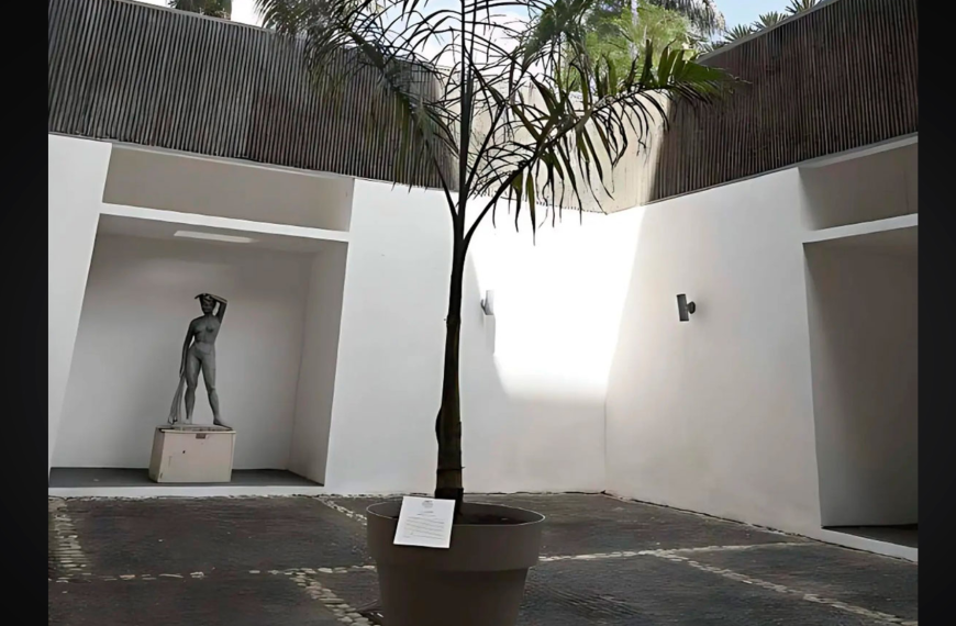 Una Palmera ganó el premió a la mejor escultura en el mayor concurso de Arte República Dominicana