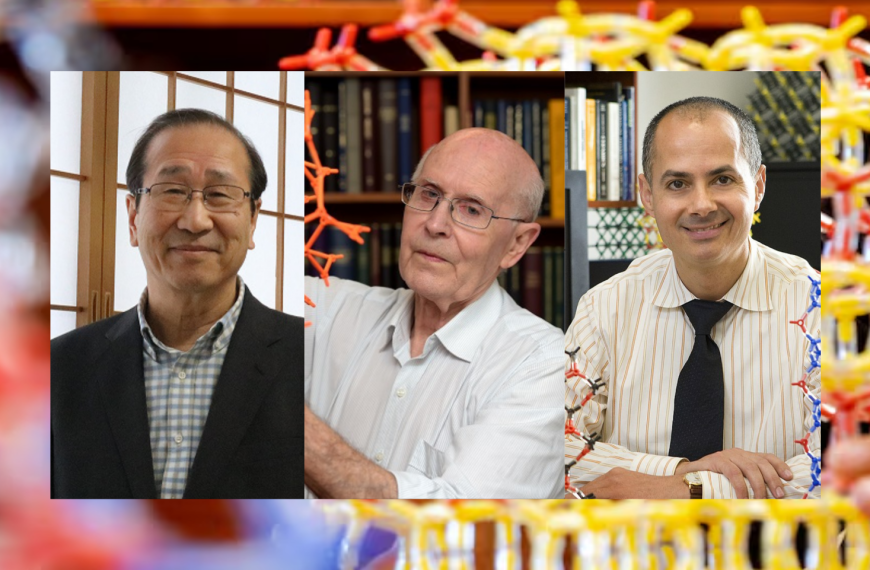 Premio Nobel Química