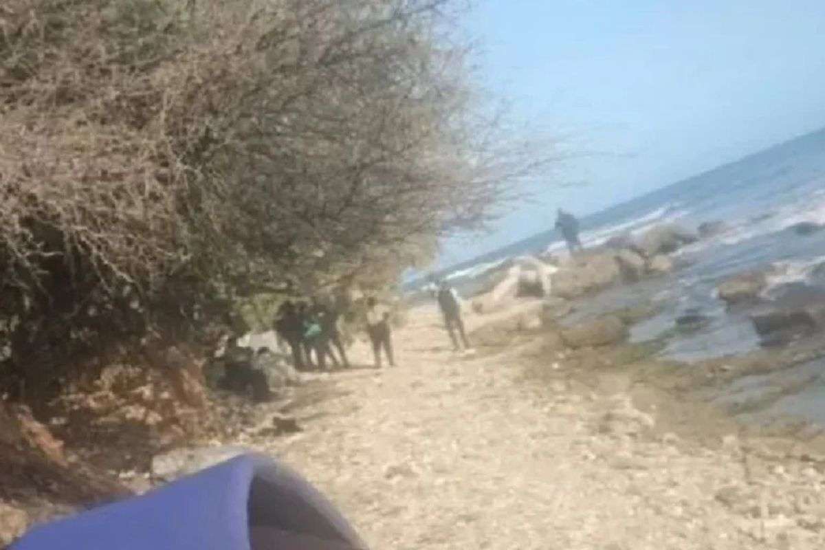 Dos segmentos de extremidades humanas inferiores aparecieron la noche del jueves en el sector Puerto Viejo, parroquia Catia La Mar, del estado La Guaira.