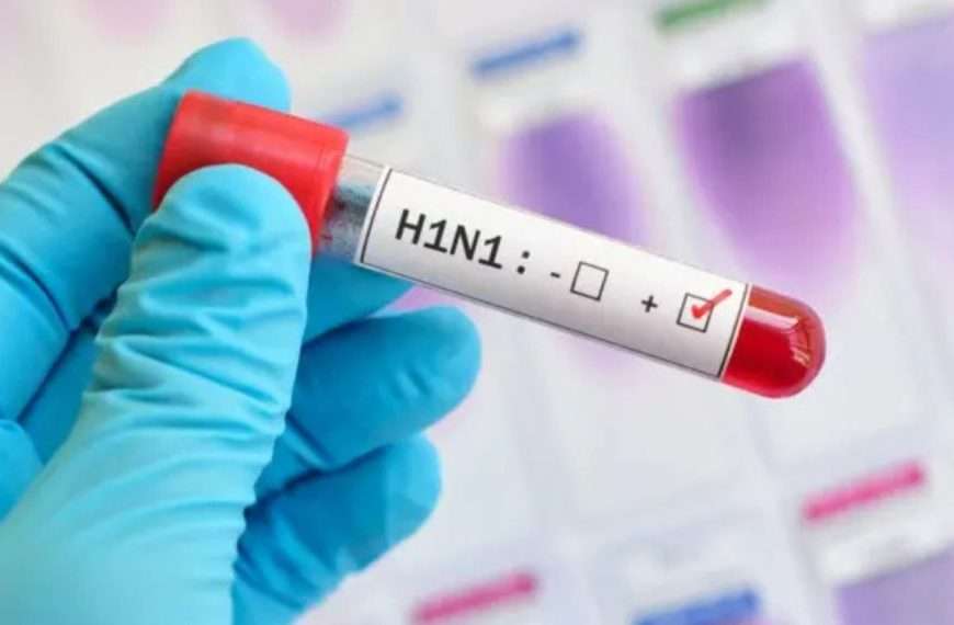 Alarma Sanitaria | H1N1 y Arbovirus acosan a Venezuela