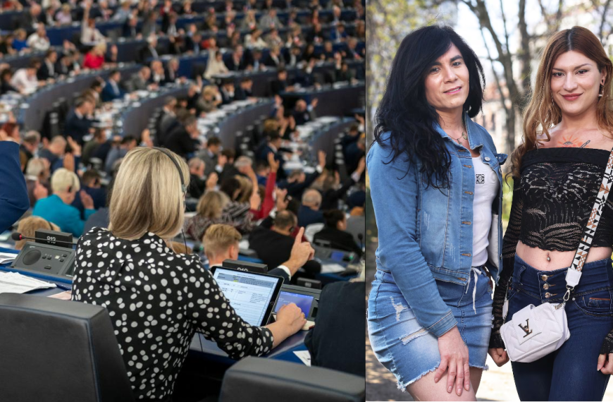Mujeres Trans Europa