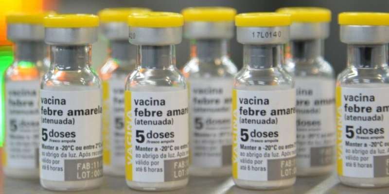 29 casos y 2 fallecidos Academia Nacional de Medicina alerta sobre brote de fiebre amarilla e invita a vacunarse