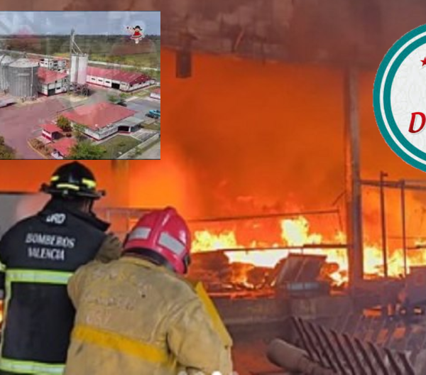 Incendio en Industrias Diana