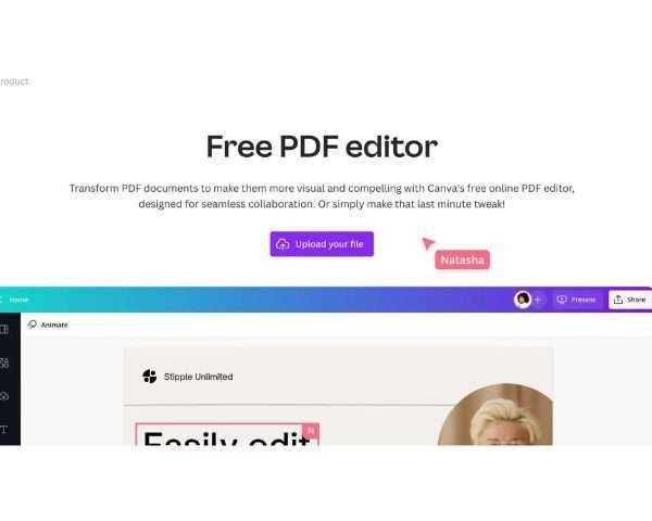 Comunicar también es editar: lo que no deberías publicar en un PDF