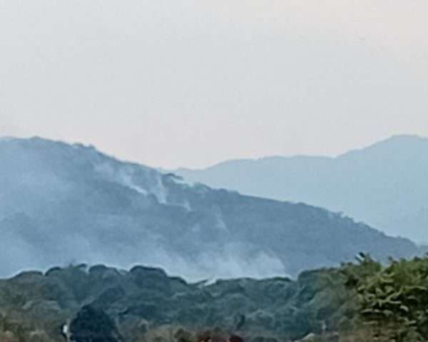 Alerta ambiental en Simón Planas: Denuncian "golpe a la supervivencia" por tala y quema indiscriminada