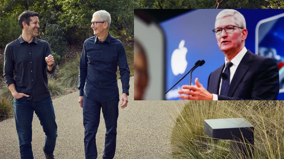 Apple - John Ternus - Tim Cook - CEO