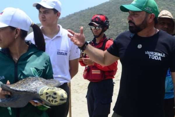 Conservación de tortugas: Lanzan iniciativa para proteger la biodiversidad en Patanemo