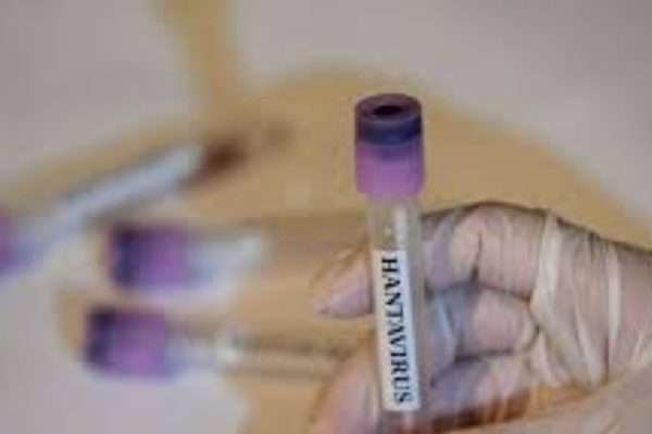 Estudio suizo confirma que el hantavirus sobrevive hasta seis años en el semen de pacientes recuperados