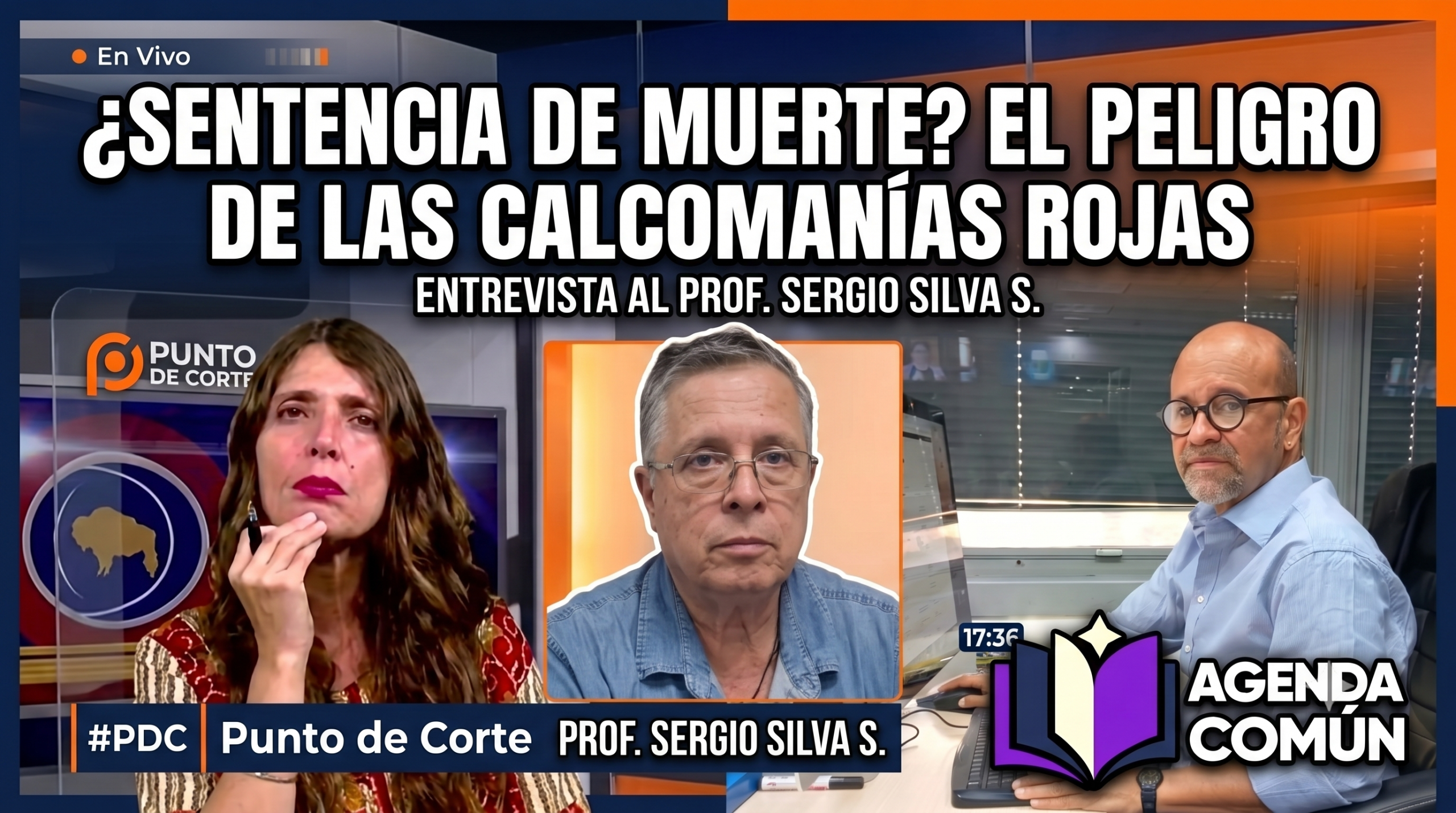 Evaluación de estructuras tras sismos Agenda Común