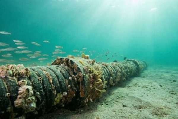 Conatel anunció restablecimiento en su totalidad del cable submarino tras el terremoto