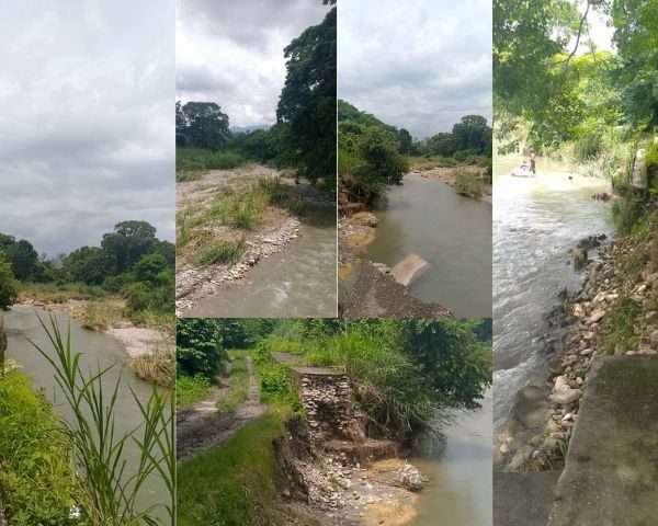 ¡Alerta roja en Sarare! Denuncian el inminente desbordamiento del río y exigen acción urgente a las autoridades