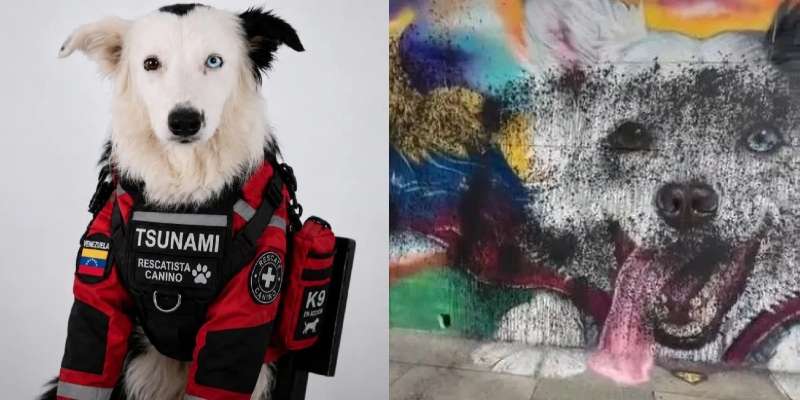 Vandalizan de nuevo el mural del perro rescatista Tsunami frente a Los Símbolos en Caracas