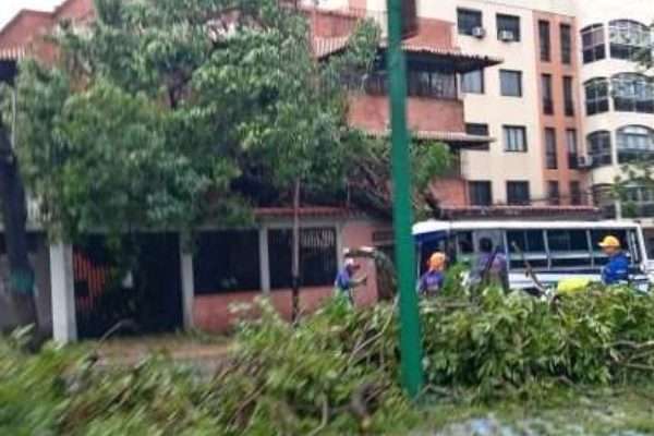 Temporal en Barquisimeto deja 16 puntos afectados con árboles caídos y fallas eléctricas por la onda tropical 45
