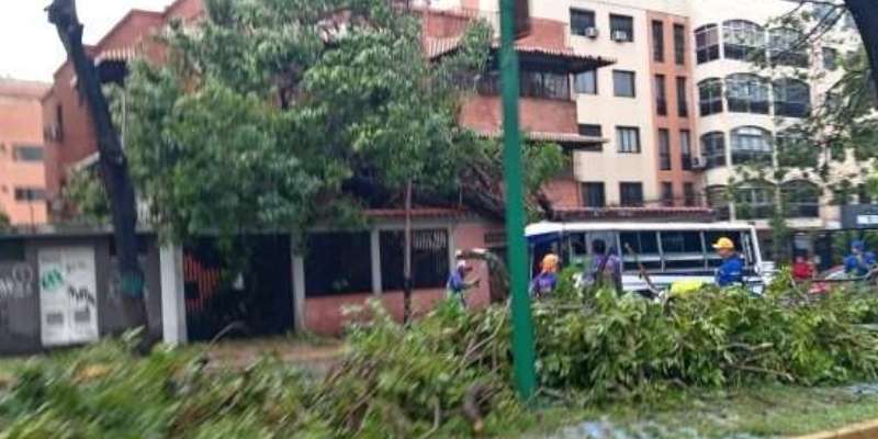 Temporal en Barquisimeto deja 16 puntos afectados con árboles caídos y fallas eléctricas por la onda tropical 45