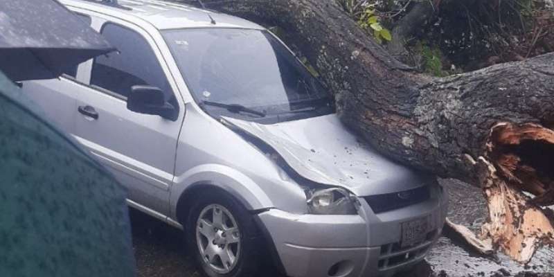 Árbol aplasta vehículo en San Bernardino y lluvias provocan apagones en Caracas y Miranda